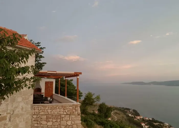 Grandpa's Dream Локва-Рогозница